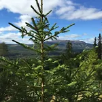 In The Middle Of Fjellet - Welcome Center - With 4 Bedrooms And Sauna - By Bike Arena And Lift *