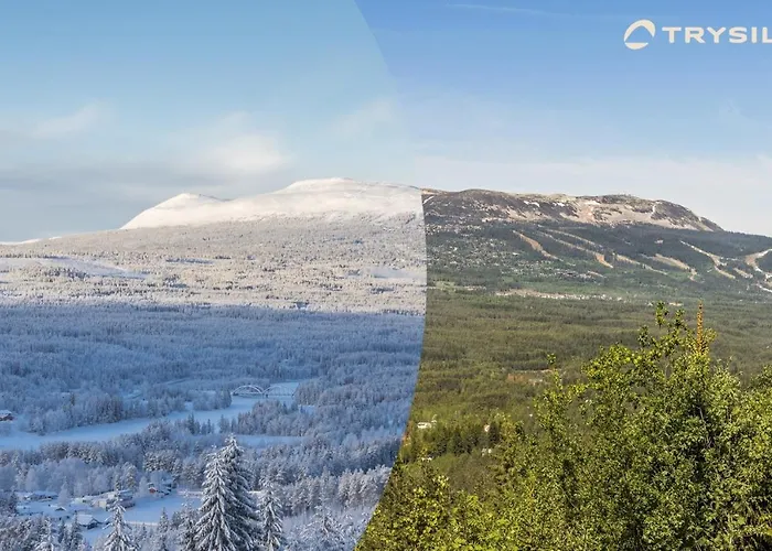 Mountain Sauna Apartment: Lift & Bike Arena Access Apartment Trysil